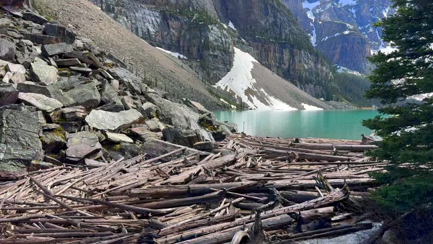 Beautiful view on the Moraine Lake in National Park of Banff, Canada. Logs and rocks are scattered along the shore of a tranquil lake, surrounded by mountains and snow-capped peaks,.