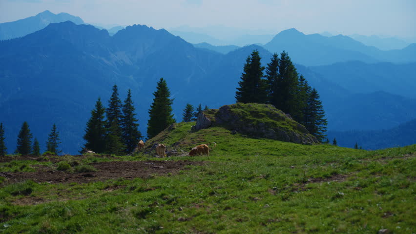 Scenic alpine landscape near Rotwand in the German Alps featuring peaceful mountain meadows, evergreen trees and layered mountain ranges under a clear summer sky.

