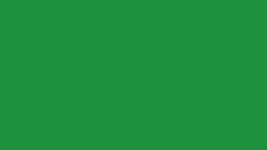 Lots of camera flashes. Photos captures, camera flashes effect on green screen, chromakey