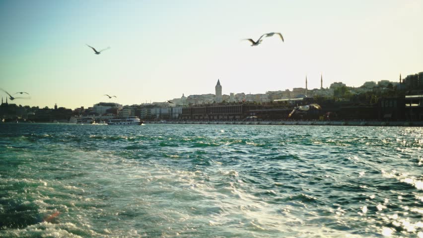 Seagulls Flying Over Bosphorus with Istanbul Skyline and Galata Tower at Golden Hour