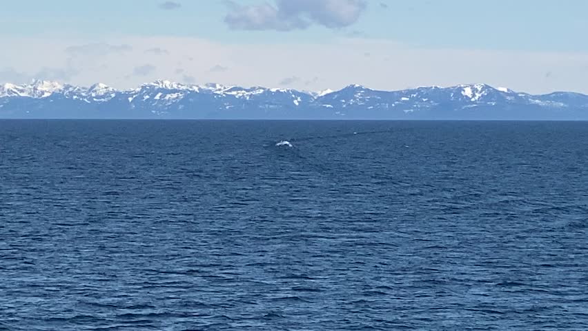 Alaskan coastline from the deck of a ship.