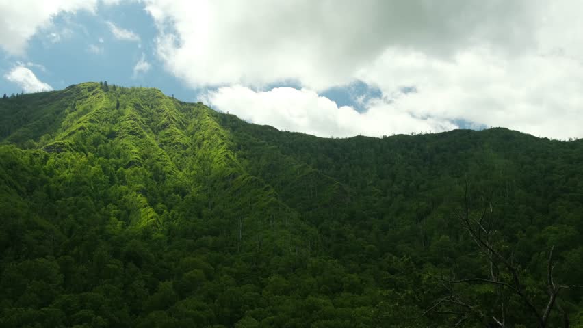 A panorama of mountain peaks covered with green trees. Clouds float above the mountains against a blue sky.