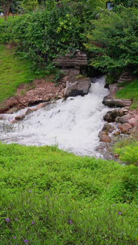 Purple flowers and green grass slopes surround the rocky stream, and white water rushes out from under the trees.