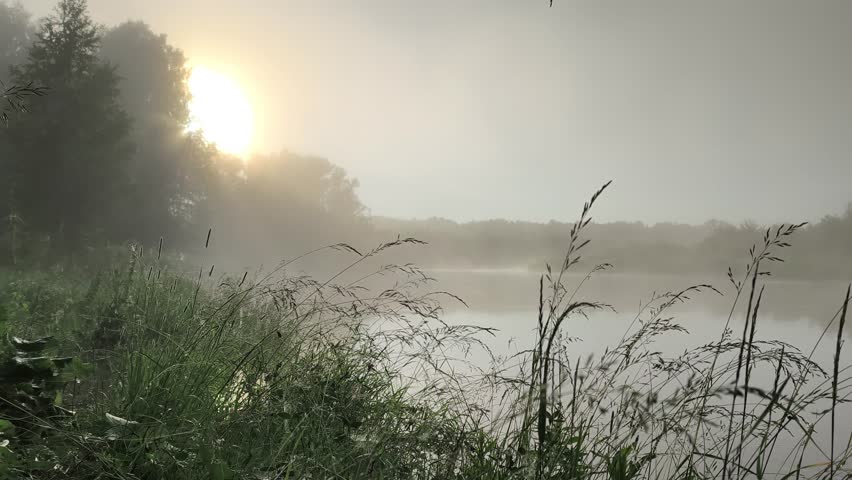 The golden sun rises through thick fog over a calm river.
