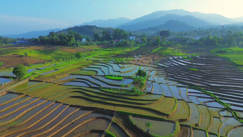 beautiful evening view of a small remote village at the foot of the Barisan mountain in Indonesia with a panoramic view of the rice fields with the beauty of the colors and the natural light of the sky when the sun is about to set with the reflection of the light on the Barisan mountain that covers the Indonesian island of Sumatra, the mountains have several springs flowing here, villagers who are under the mountain use water for all their needs, one of which is farming, farming and others.