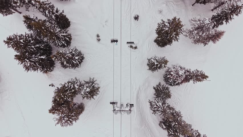 A ski lift travels over a snowy landscape in the Carpathians of Bulgaria. Tall trees surround the area, and skiers enjoy the winter activities on the slopes.