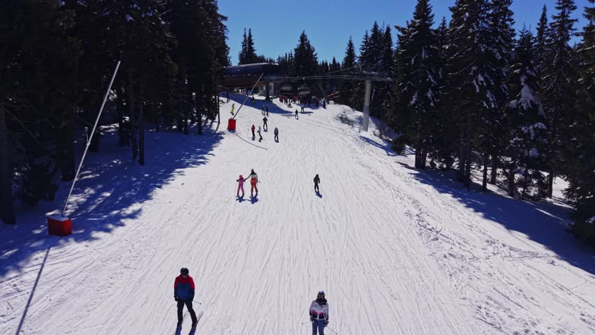 People are skiing down a snowy slope in the Carpathian Mountains in Bulgaria. Tall trees line the sides, and a clear sky is visible above. It is a bright winter day.