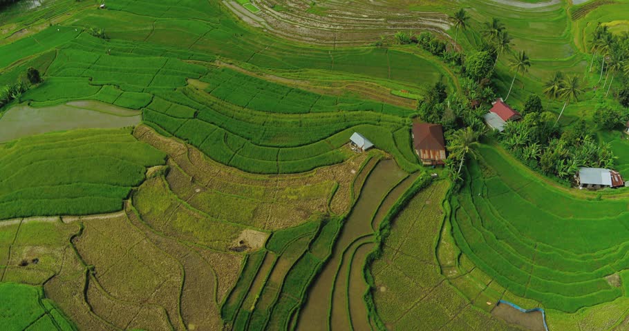 Drone flying over rice terraces with fog drifting across mountain cliff