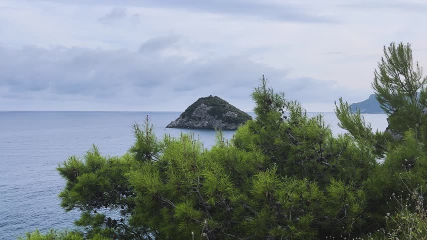 Rocky islet off Savona, Italy, viewed through coastal pine trees above the calm Ligurian Sea beneath a soft overcast sky.
