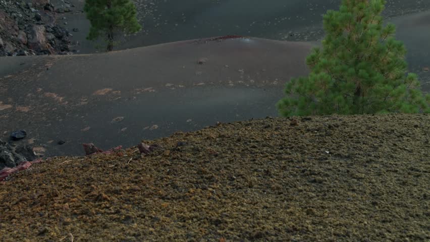Dark volcanic cinder dunes with scattered conifer trees revealing a barren landscape in Lassen Volcanic National Park, California, USA. Tilt up reveal shot