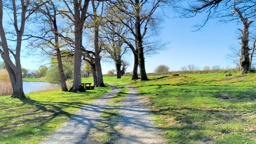 Sunny park with trees casting long shadows