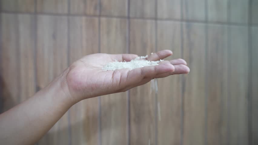 Raw white rice grains accidentally dropped from someone