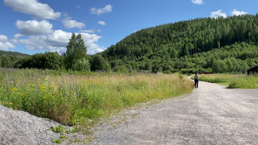 Country road during the summer. Woman walking in the distance. No traffic. Outside Sundsvall, Sweden.