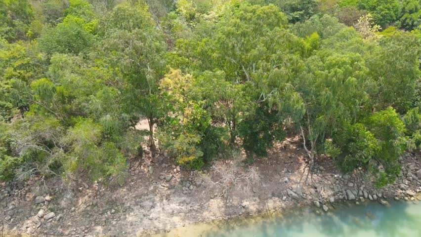 Aerial view of a lush green forest shoreline along a calm lake with clear turquoise water and rocky bank.