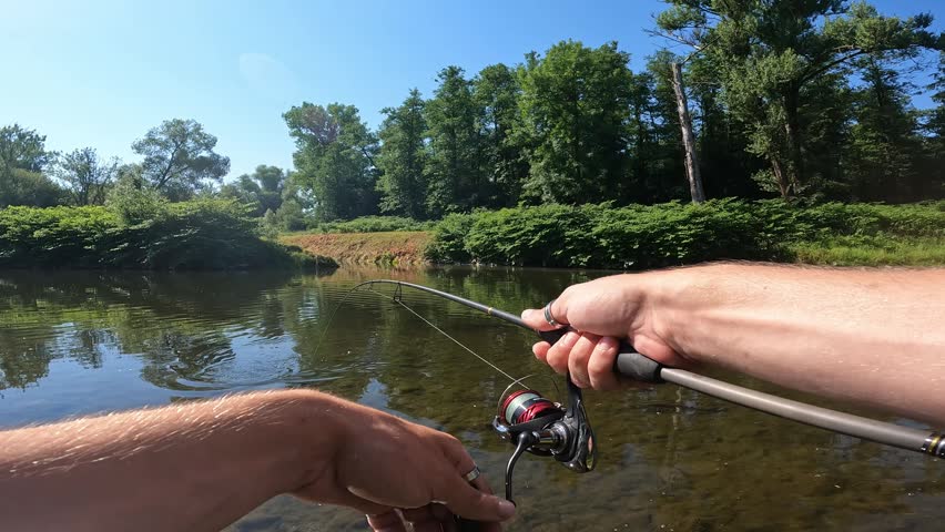 POV catching fish: Landing a European Chub (Squalius cephalus) with a net in a wild summer river