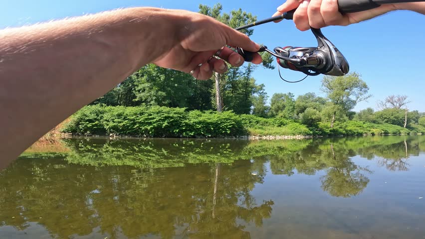 POV fisherman catching small European Chub (Squalius cephalus) jumping out of water on spin rod