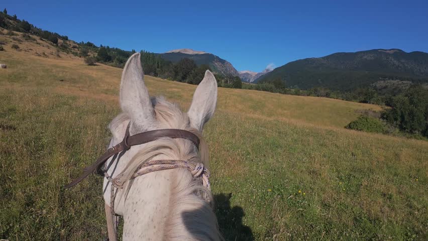POV Horseback Riding Through Scenic Patagonia Mountains In Chile During Summer