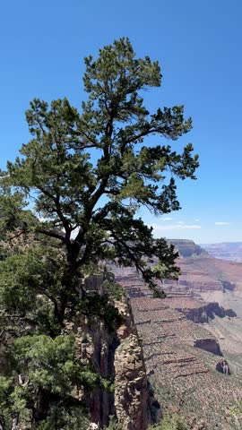Aerial top view of Grand Canyon, Arizona, USA