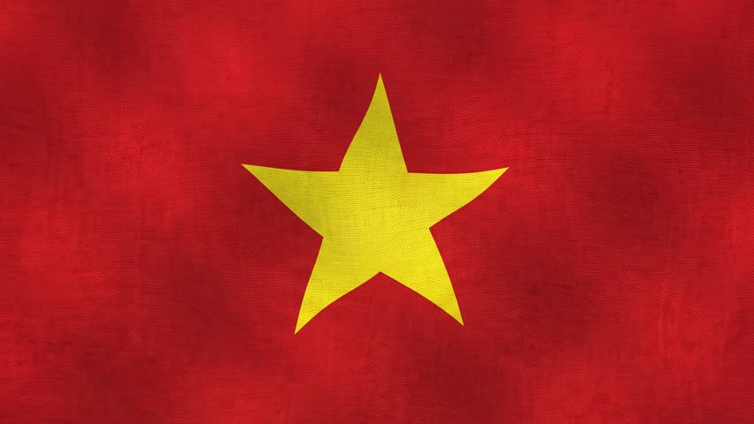 The national flag of Vietnam