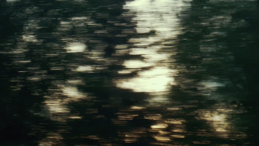 Sun shining through the forest and trees, seen from the window of a Trans-Siberian Train