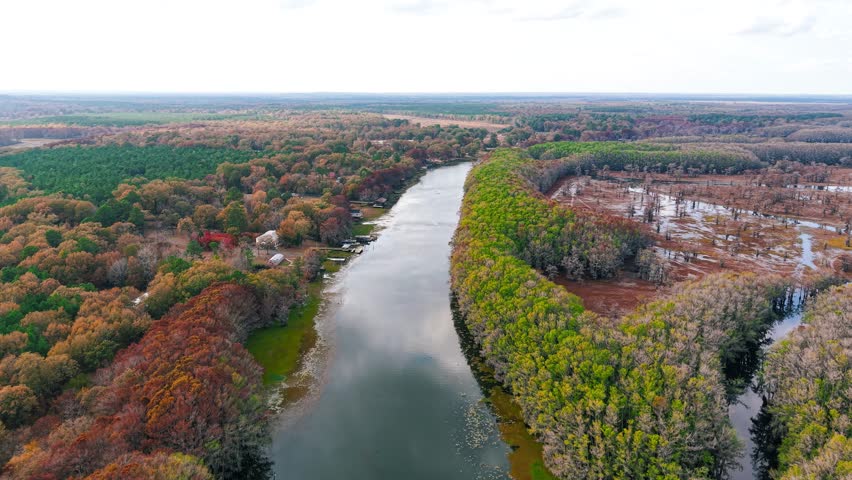 High altitude drone view of a rural riverine landscape with colorful autumn trees and wetlands in Caddo lake state park ,Texas