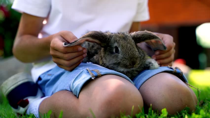 Child gently holds a fluffy rabbit on grass. Rabbit rests peacefully in child