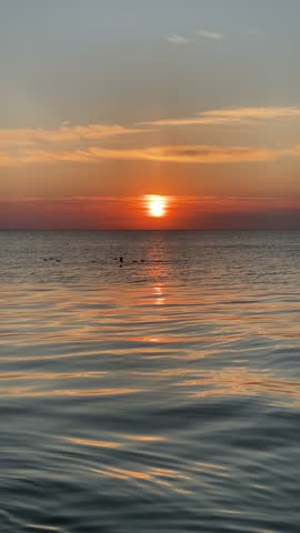 Bright golden sun rising over calm sea with gentle water waves and birds swimming
