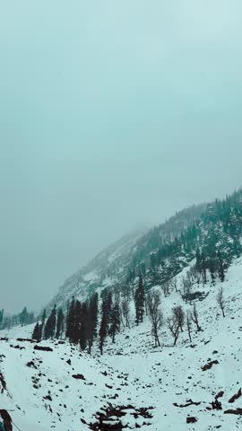 4K Vertical shot of snowfall on snowy mountains at Aru Valley, Jammu and Kashmir, India. Winter forest and mountains covered in snow. Foggy winter weather in Himalayas. Winter travel concept.