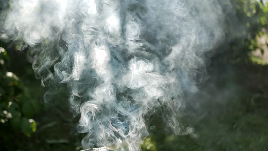 Thick white smoke rising from an outdoor barbecue in a sunny garden, with soft natural light illuminating swirling smoke against a dark green background, creating an atmospheric summer scene outdoors.