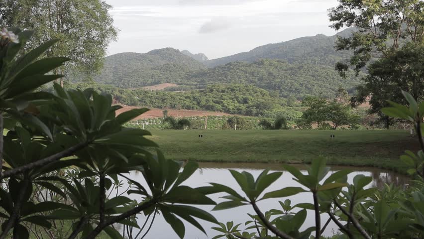 Scenic view of pond and green lawn campsite framed by foliage with lush mountain background. Peaceful outdoor nature landscape.