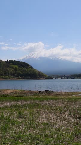 Beautiful Mount Fuji landscape near Lake Kawaguchiko, Japan, with blue water, fresh greenery, white flowers and clouds around the famous mountain peak
