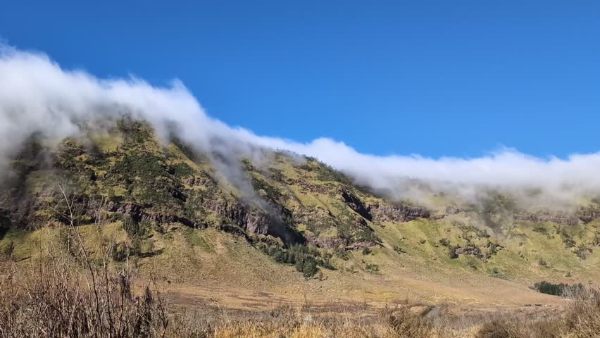 Landscape brown grass, forest, white cloud and mountain 
