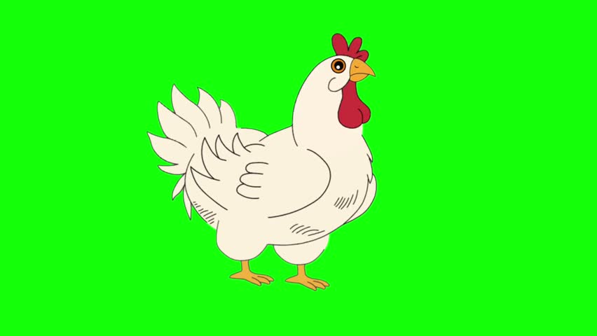White Chicken Cartoon Character Talking Animation Frames for Games