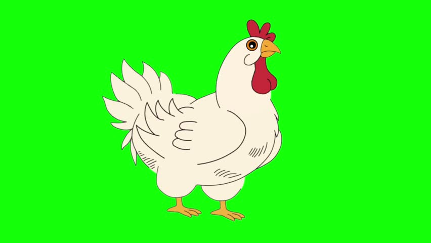 White Chicken Cartoon Character Walking Cycle Animation Frames