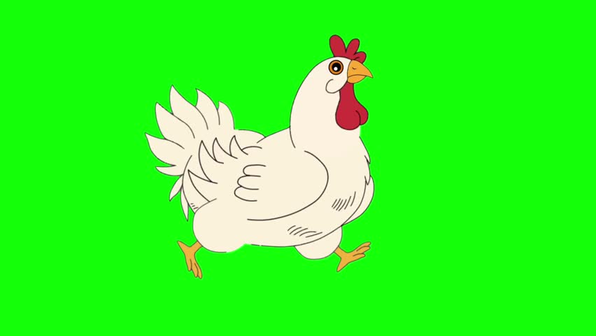 White Chicken Cartoon Character Running Cycle Animation Frames