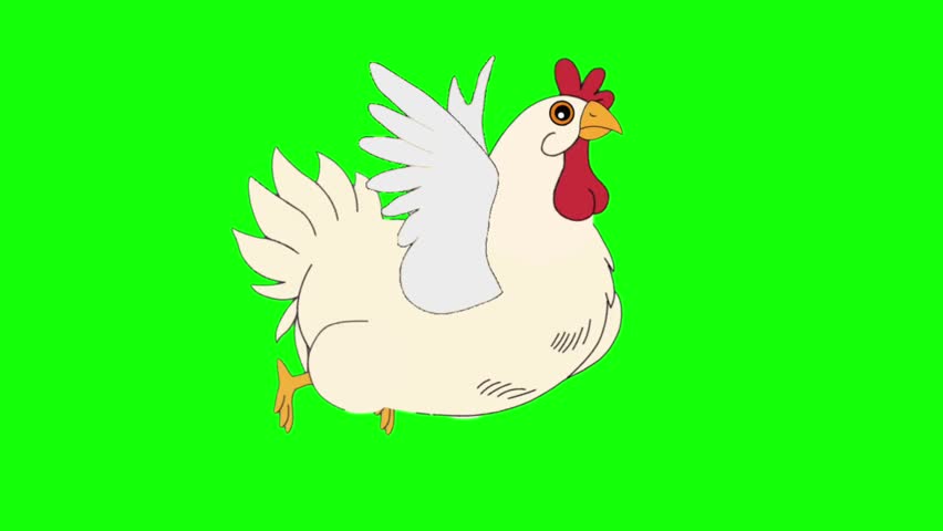 White Chicken Cartoon Character Flying Talking Animation Frames