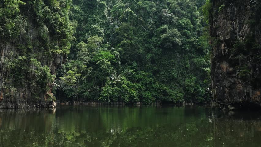 Tropical lagoon surrounded by steep limestone cliffs and dense green jungle vegetation in Southeast Asia. Calm water reflecting the rainforest landscape during daytime. Wide shot.