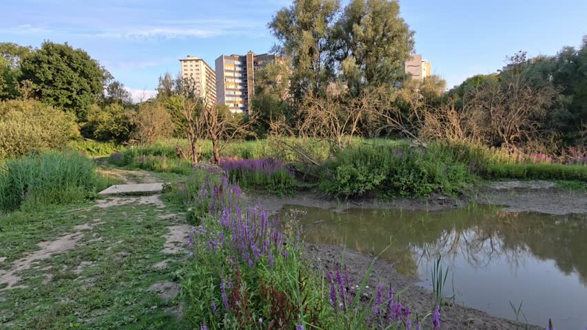 View Of A Pond And Greenery In A Park Located In Ganshoren A Suburb Of Brussels Belgium With Apartment Buildings In The Background On A Sunny Day