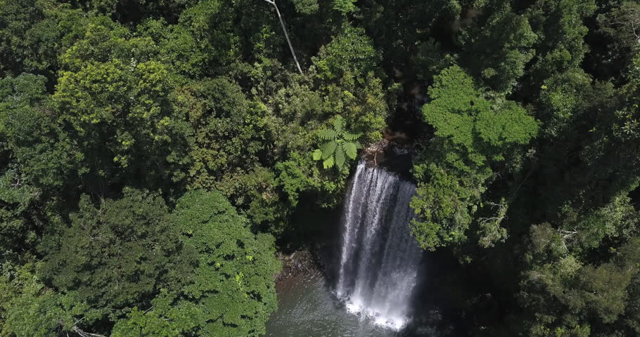 Millaa Millaa Falls Cairns Australia