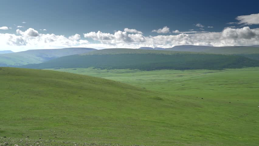 Panoramic Mongolian steppe shows rolling green hills beneath dramatic clouds above vast plains. Pristine grassland stretches through empty countryside with natural serenity, open terrain. The wide composition emphasizes the immense scale, gentle relief, and uninterrupted horizon of the steppe landscape. Temperate grasslands support grazing animals, pastoral livelihoods, and diverse ecological communities. Cloud shadows and rolling terrain create depth for themes of wilderness, climate, conservation, geography, and travel. The empty countryside offers a versatile natural background for documentary, cinematic, and environmental productions.