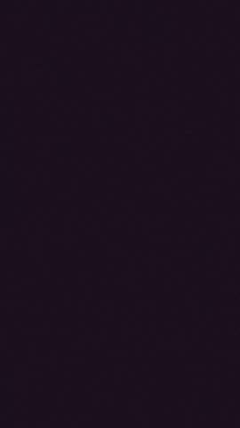 cute halloween night background with pumpkins, moon, bats and spider animation