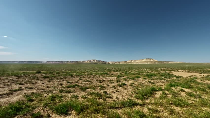 Expansive grassland landscape with distant hills captured from a moving vehicle, showcasing the natural beauty of the terrain and clear blue sky