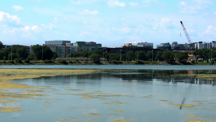 Wide panoramic shot of the Madison, Wisconsin city skyline featuring the State Capitol dome, modern buildings, and construction cranes over a lake with green algae blooms on a sunny day.