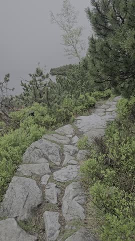Stone hiking trail along misty mountain lake surrounded by pine trees and lush green nature.

A cobbled stone path winding along the edge of a mountain lake on a foggy, overcast day surrounded by pine vegetation.