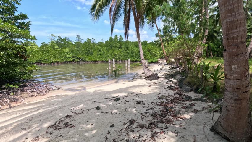 Wide shot of a deserted tropical beach early in the day on a Philippine island, featuring mangrove thickets and a row of young palm trees under a sunny blue sky with white clouds.