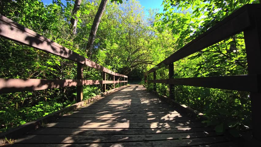 Weathered planks and wooden railings lead through a corridor of dense green woodland. Dappled sunlight casts leaf and railing shadows across the walkway beneath fresh spring foliage.