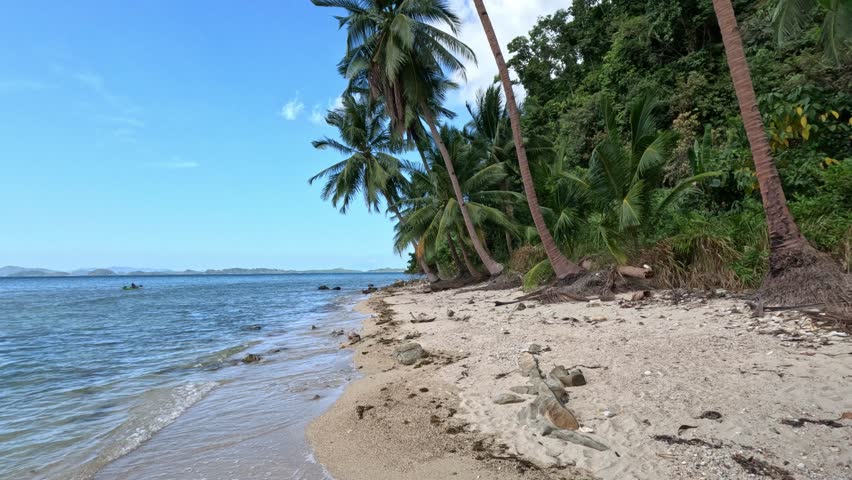 Wide view of a deserted beach in the Philippines at morning with coconuts, palm branches, stones, and litter scattered along the calm sea and dense green jungle.