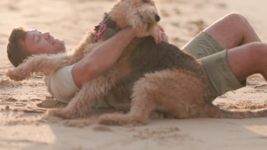 Happy man playing and hugging dog on the beach