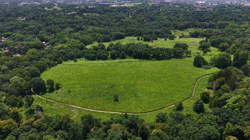 Aerial drone shot of a vast green meadow bordered by dense forest trees and a curved dirt walking path in a large nature preserve, with city buildings visible on the horizon during summer.