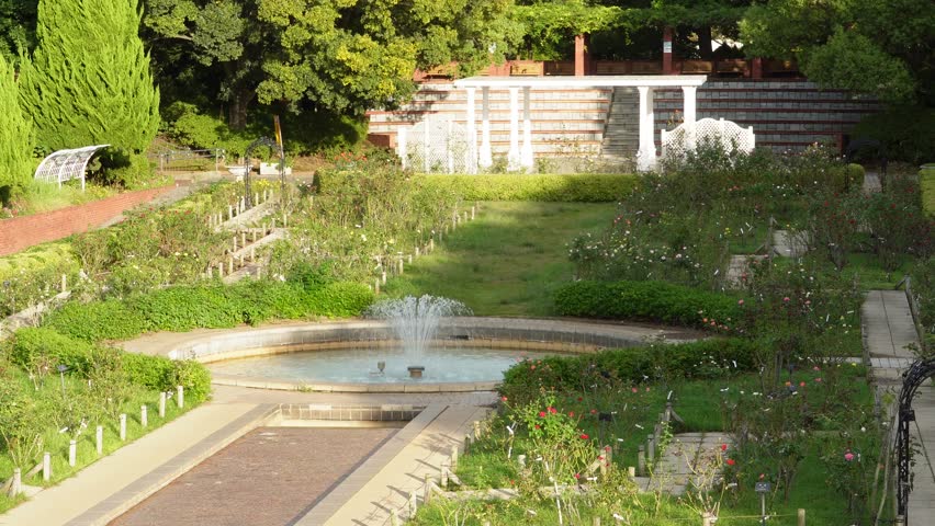 Beautiful landscape of a rose garden with a water fountain and fresh green trees in spring